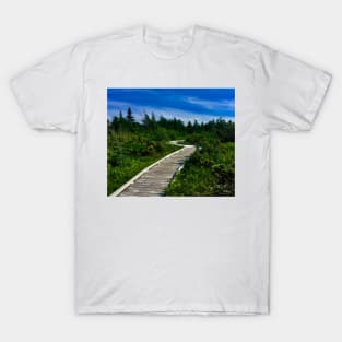 Summer on the Cabot Trail T-Shirt